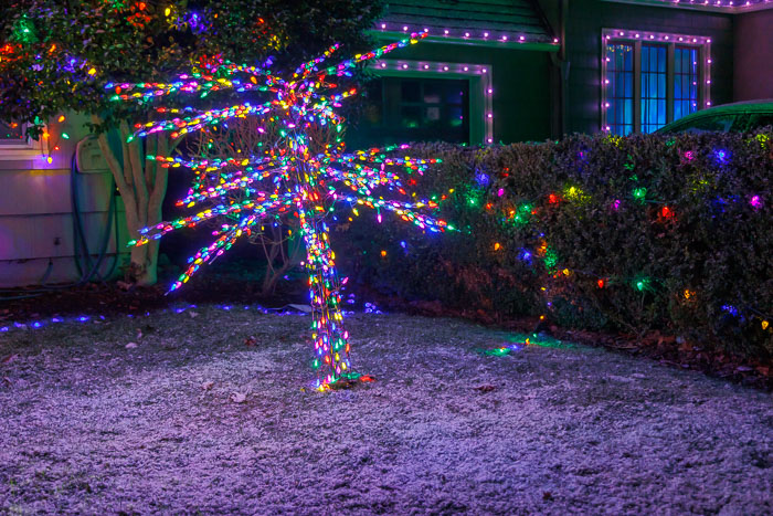 Holiday Lights