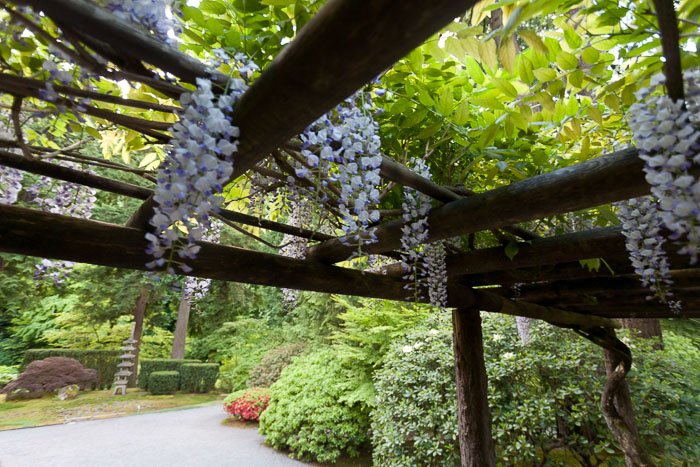 Portland Japanese Gardens