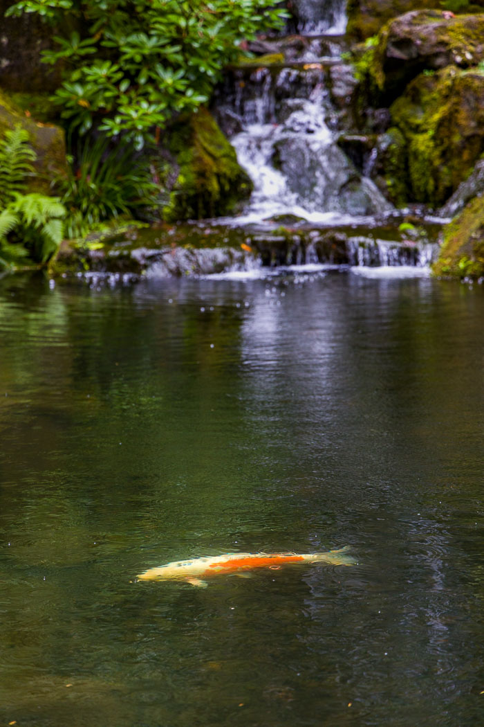 Portland Japanese Gardens Portland Japanese Gardens