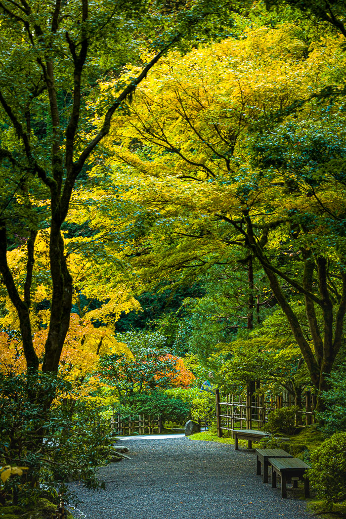 Portland Japanese Gardens