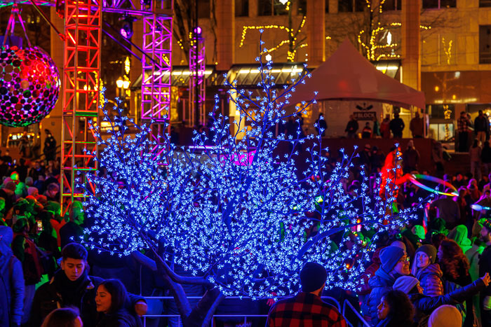 PDXlights