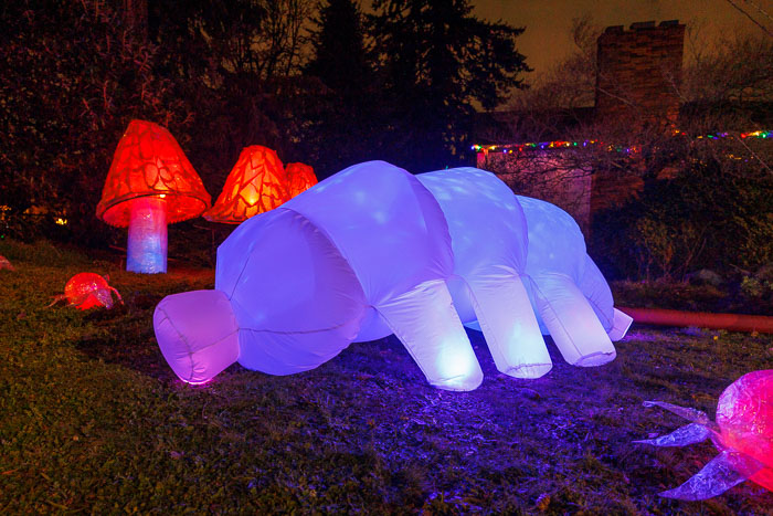 PDXlights PDXlights