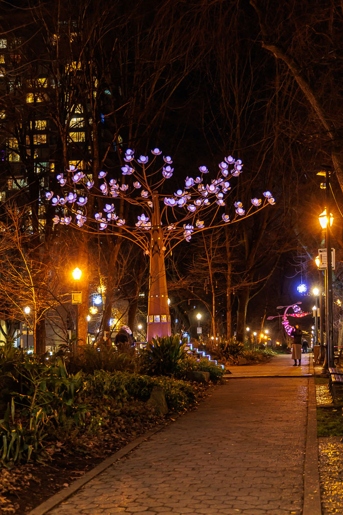 PDXlights