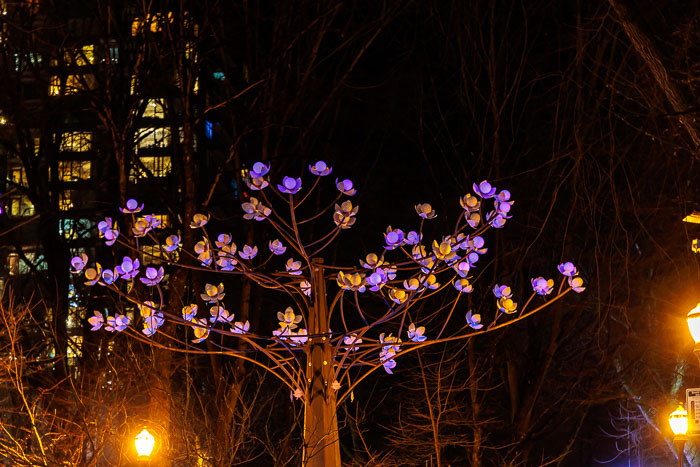 PDXlights