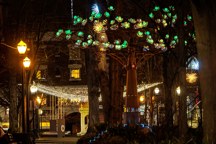 PDXlights