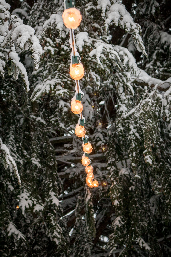 Snowlandia Snowlandia