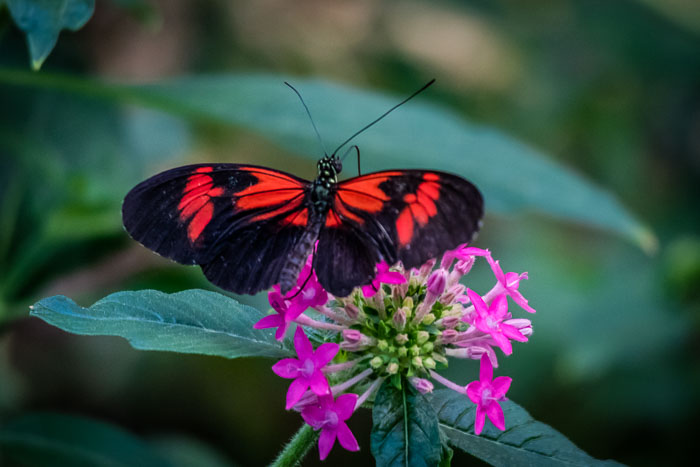Seattle Center and Pacific Science Center