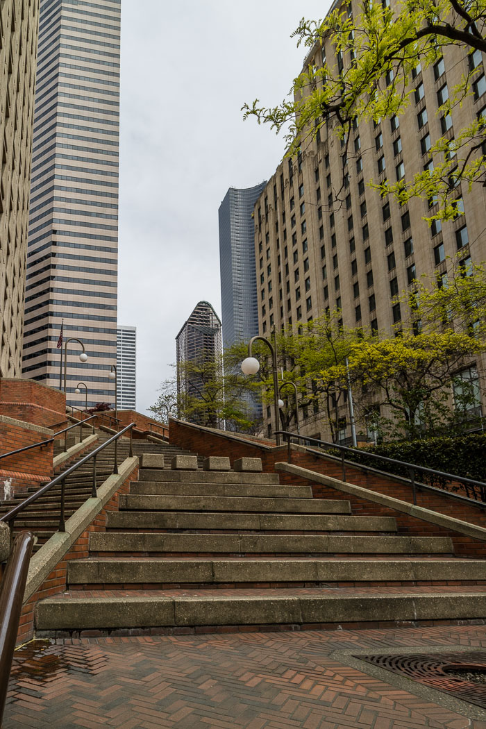 Seattle Photo Safari