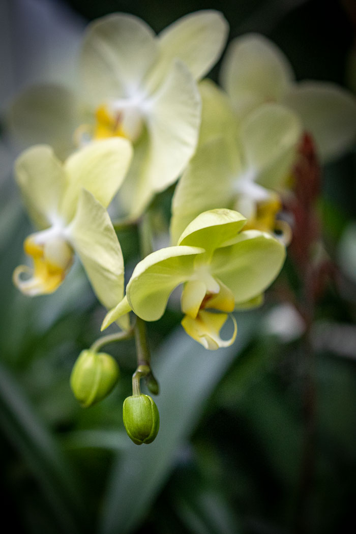 Seattle Photo Safari