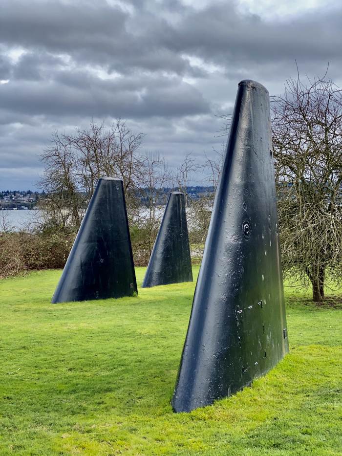 Seattle Photo Safari