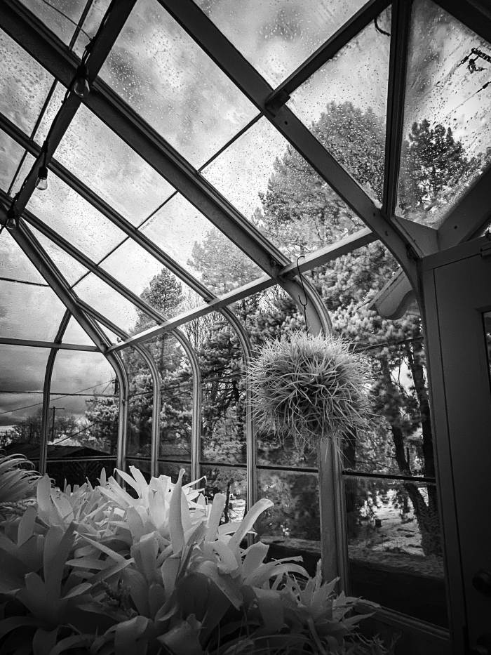 Seattle Photo Safari