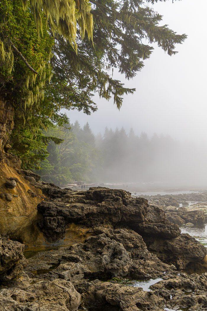 Botanical Beach