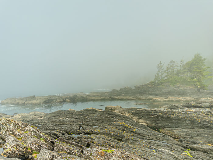 Botanical Beach