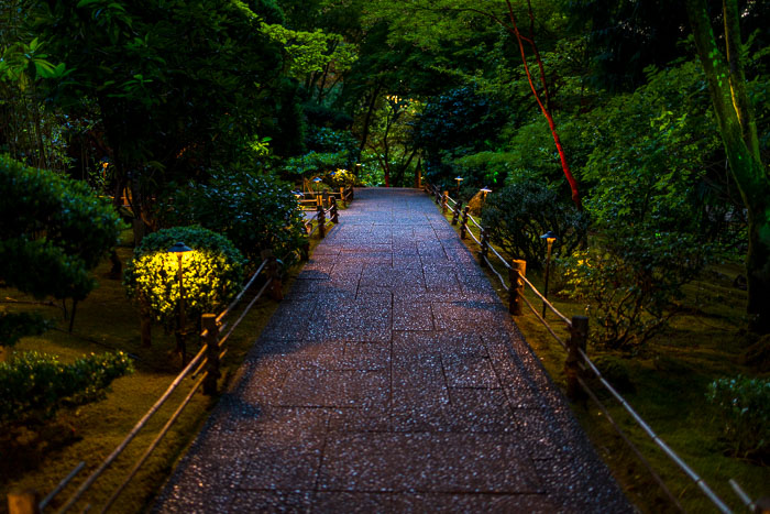 Buchart Gardens After Dark