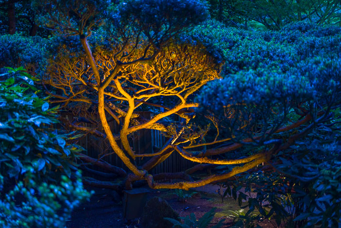 Buchart Gardens After Dark Buchart Gardens After Dark