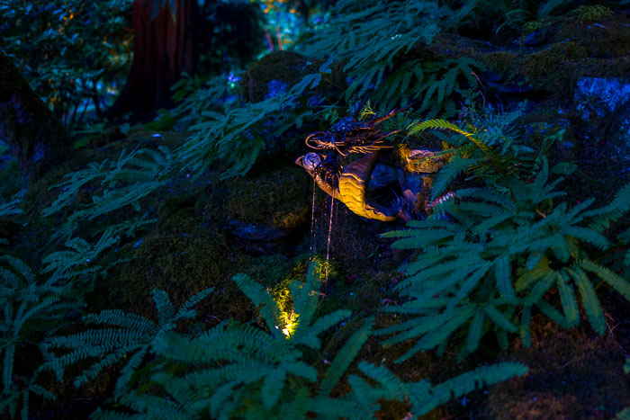 Buchart Gardens After Dark