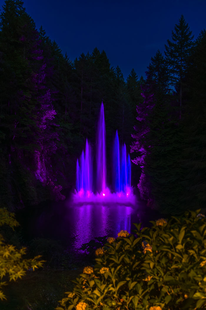 Buchart Gardens After Dark