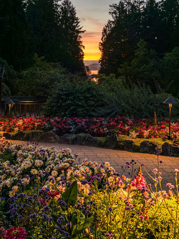 Buchart Gardens After Dark