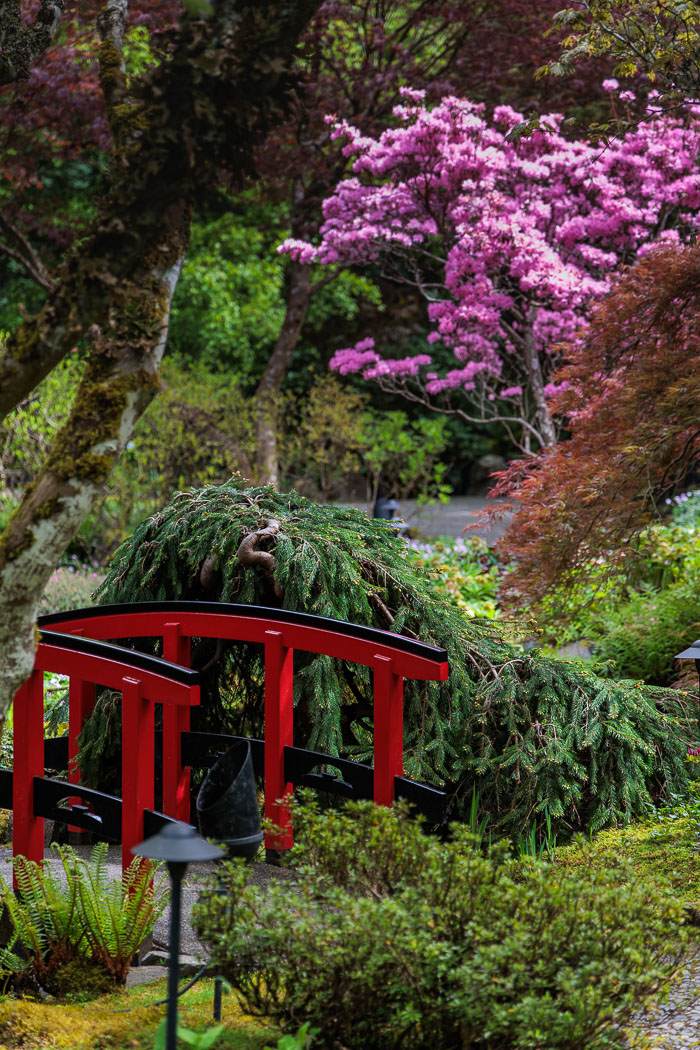Buchart Gardens