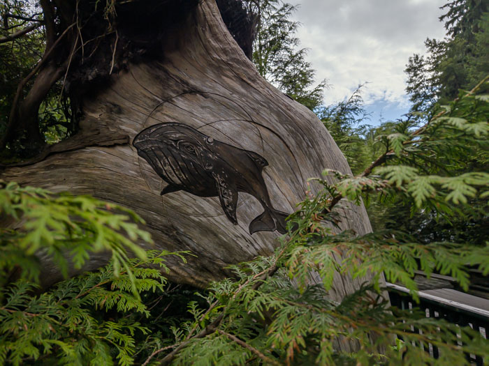 Juan de Fuca Provincial Park & Port Rernfrew