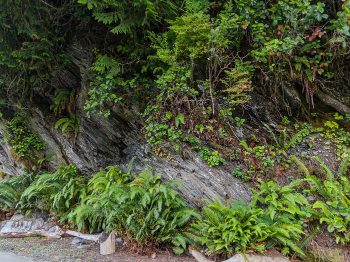 Juan de Fuca Provincial Park & Port Rernfrew