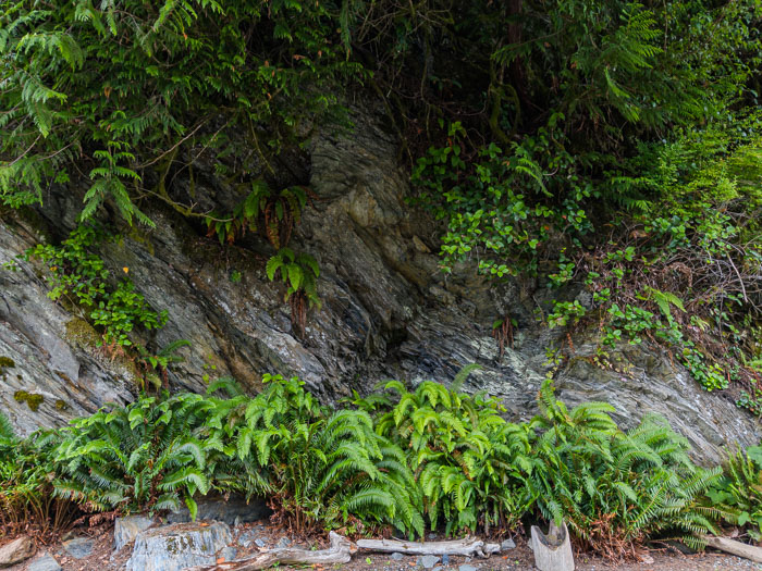 Juan de Fuca Provincial Park & Port Rernfrew