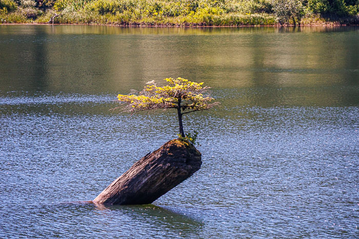 Juan de Fuca Provincial Park & Port Rernfrew