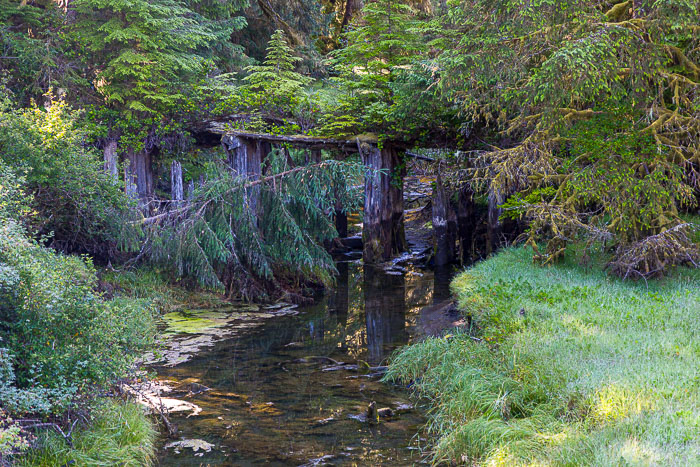 Juan de Fuca Provincial Park & Port Rernfrew