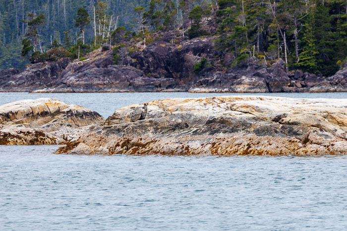 Nootka Sound