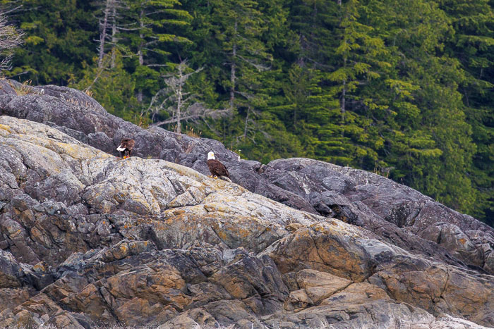 Nootka Sound