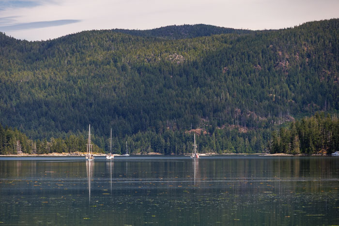Quadra Island Paddle