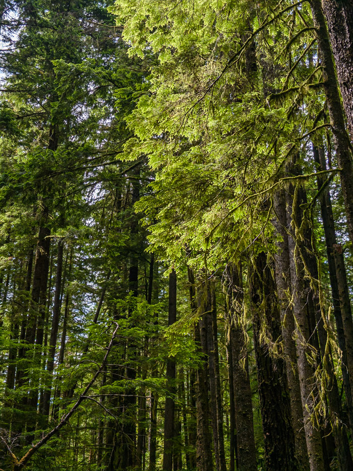 Quadra Island Paddle
