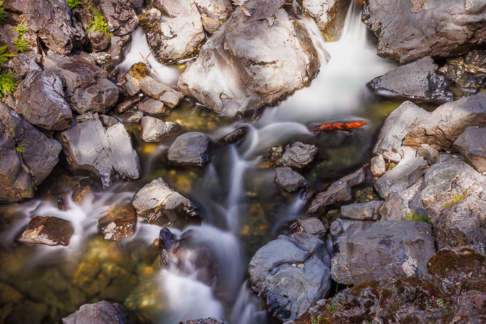 Sooke Potholes Provincial Park