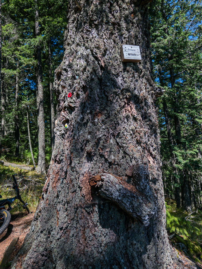 Vancouver Island Out and About