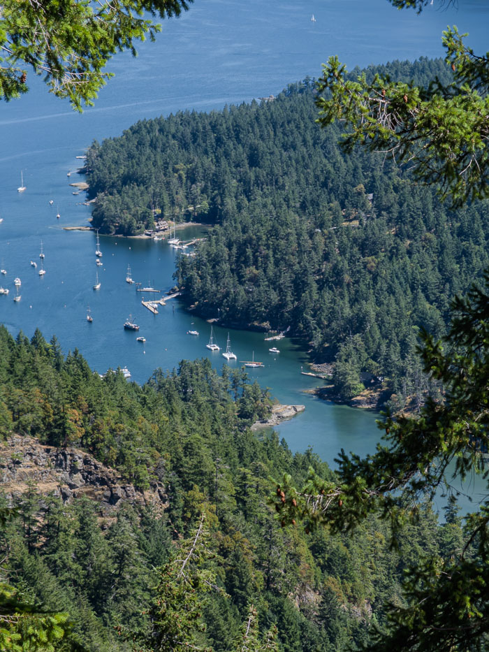 Vancouver Island Out and About