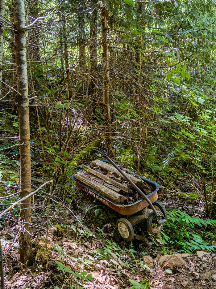 Vancouver Island Out and About