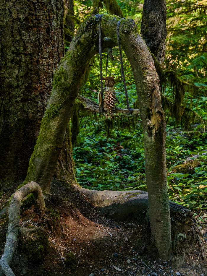 Vancouver Island Out and About