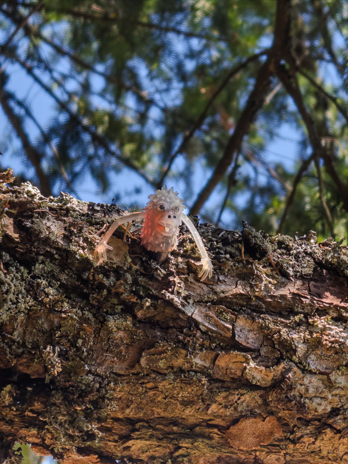 Vancouver Island Out and About