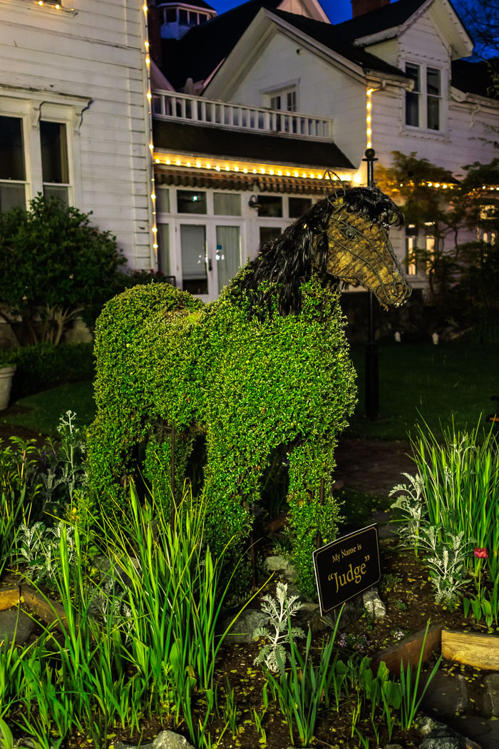 Victoria After Dark