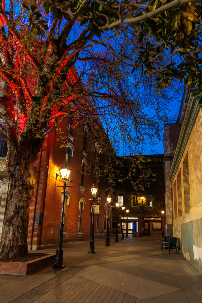 Victoria After Dark