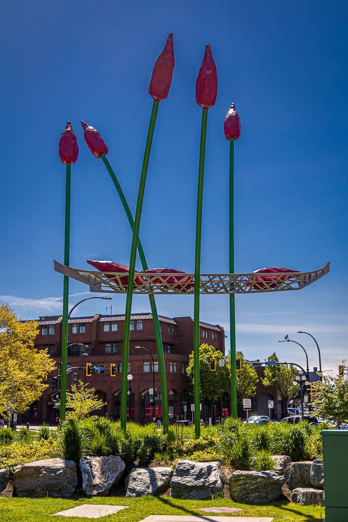 Victoria Downtown and Chinatown