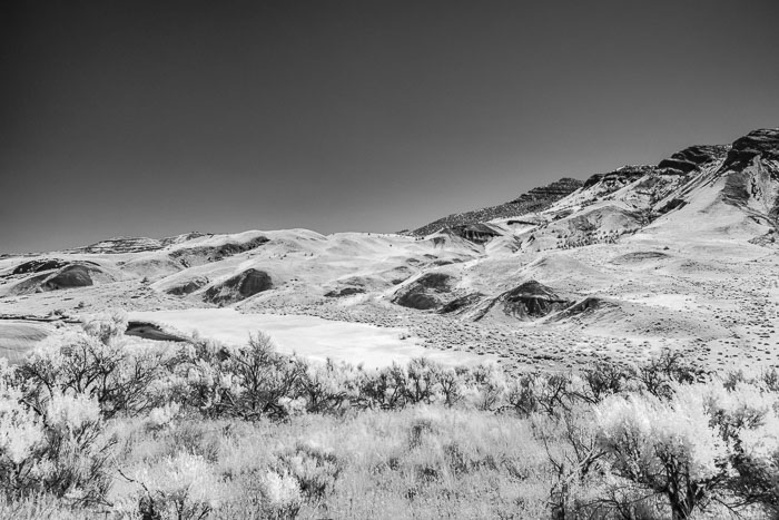John Day Fossil Beds