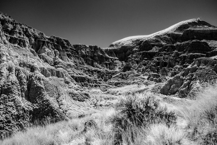 John Day Fossil Beds