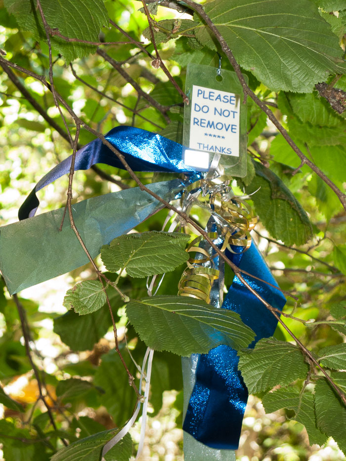 Oregon Country Faire