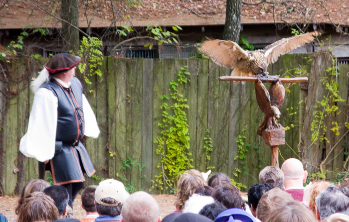 Texas Renaissance Festival Texas Renaissance Festival