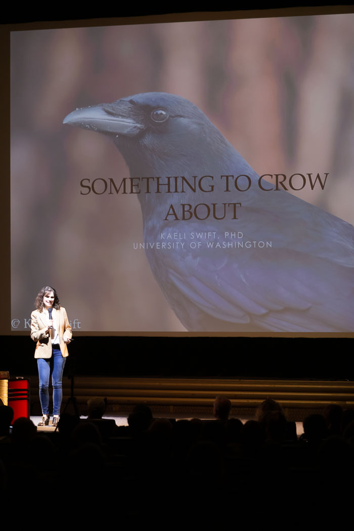 20190109 Crows