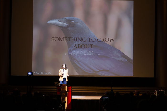 20190109 Crows 20190109 Crows