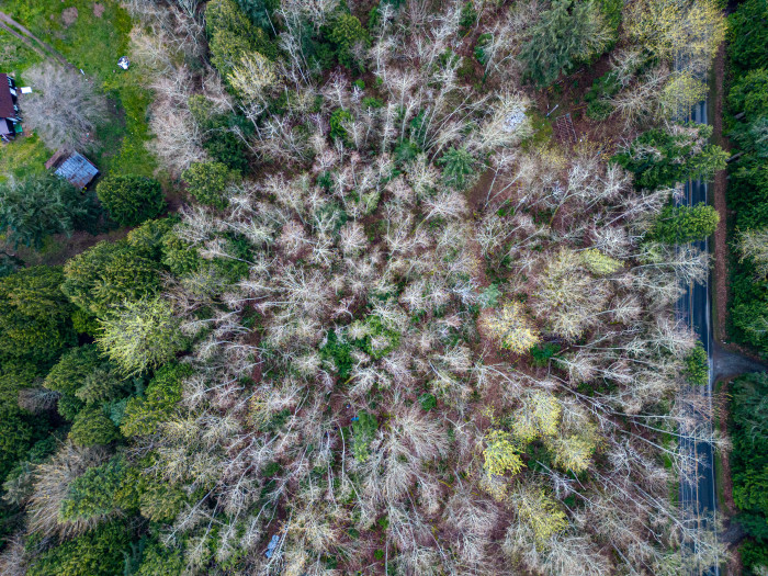 Photos of the property