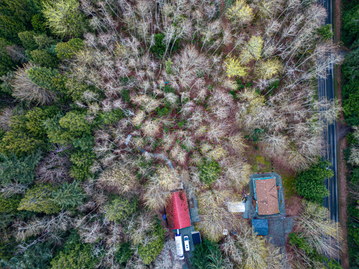 Photos of the property