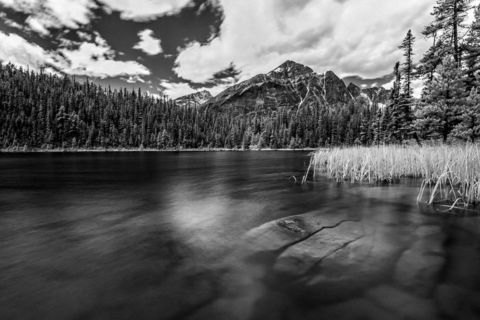 infrared